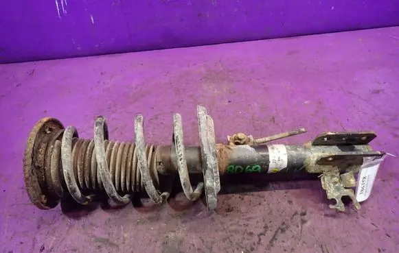 Opel Signum Front shock absorber with coil spring 