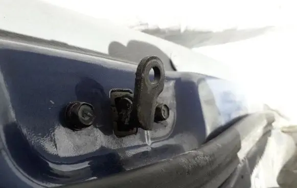 Hyundai Trajet Rear door check strap stopper