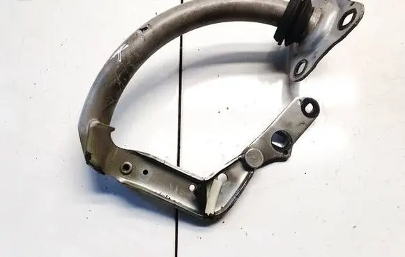 Tailgate/trunk/boot hinge