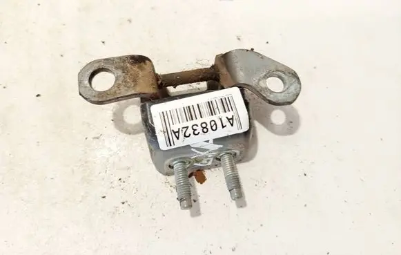 Rear door lower hinge
