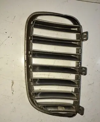 BMW X5 E53 Front bumper upper radiator grill