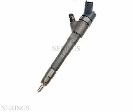 Fiat Ducato Fuel injector 0445110520