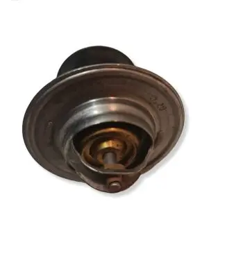 Volkswagen PASSAT B5.5 Thermostat TX1587D