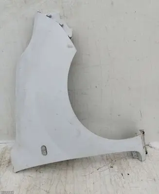 Renault Kangoo II Fender