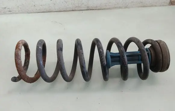 Rear coil spring