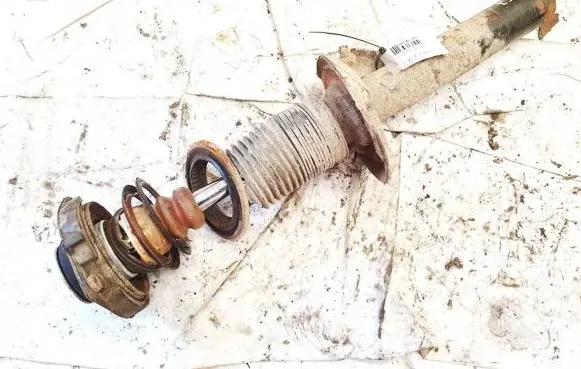 Volkswagen Golf V Front shock absorber/damper