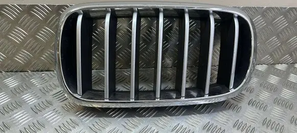 BMW X6 F16 Front bumper upper radiator grill 7316075 7316053 7316057