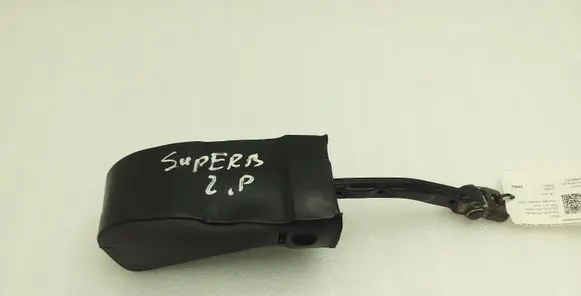 Skoda Superb B6 (3T) Front door check strap stopper 3T0837249