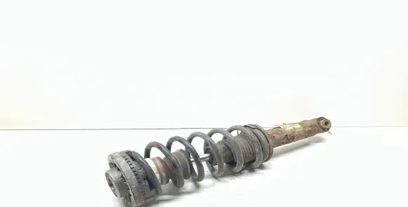 BMW X3 F25 Rear shock absorber with coil spring 6796422