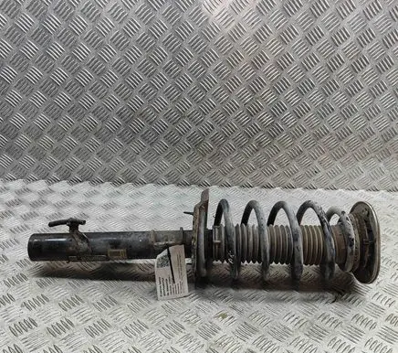 Land Rover Freelander Front shock absorber/damper 6G9118K001UAF