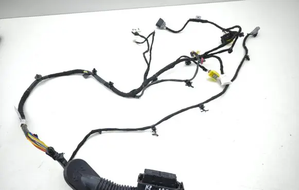 Front door wiring loom
