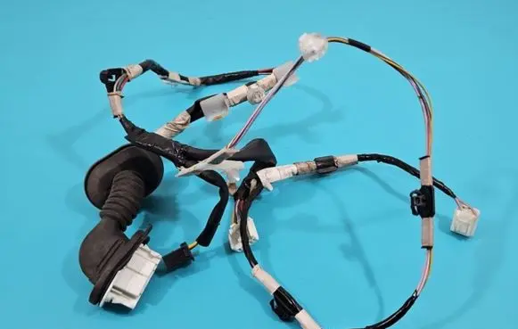 Rear door wiring loom
