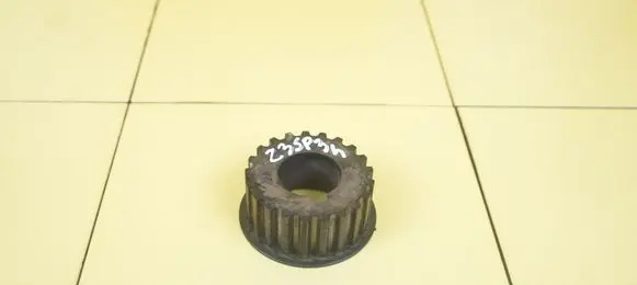 Citroen Jumper Timing chain sprocket 9802042280