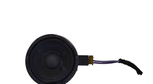Mercedes-Benz B W247 Front door speaker A2478201300