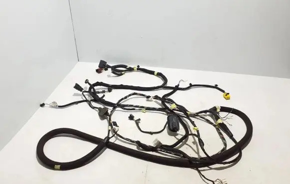 Renault Trafic III (X82) Other wiring loom 241646495R