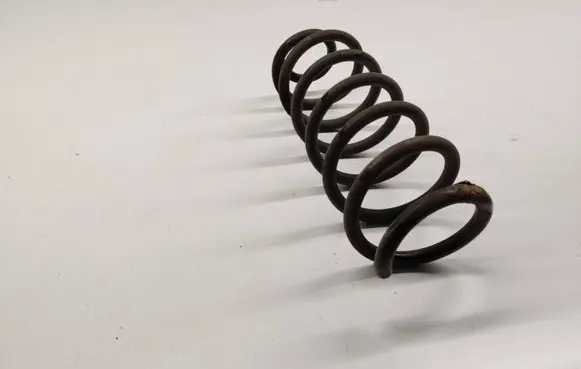 Rear coil spring