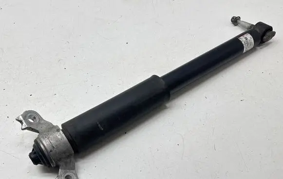 Ford Explorer VI Rear shock absorber/damper LB5C18W002HD 211007A