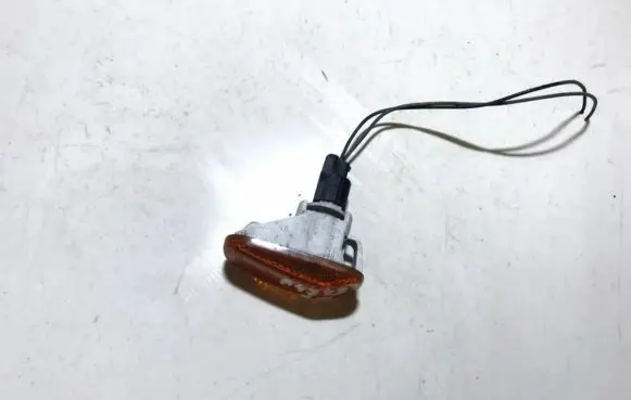 Front fender indicator light