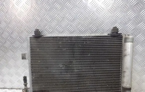 Citroen C5 Air conditioning (A/C) radiator (interior) 