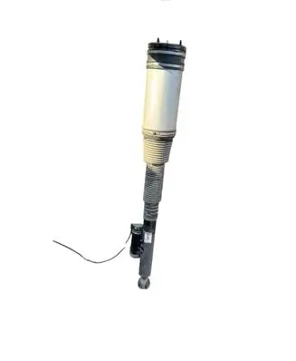 Rear shock absorber/damper
