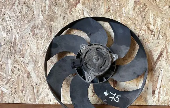 Citroen C3 Electric radiator cooling fan