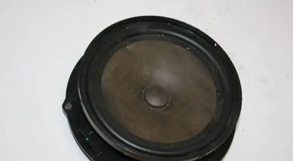 Front door speaker