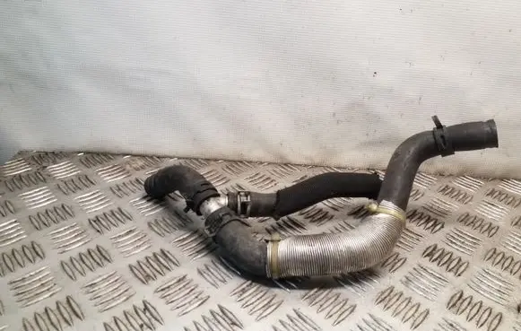 Nissan Juke I F15 Engine coolant pipe/hose