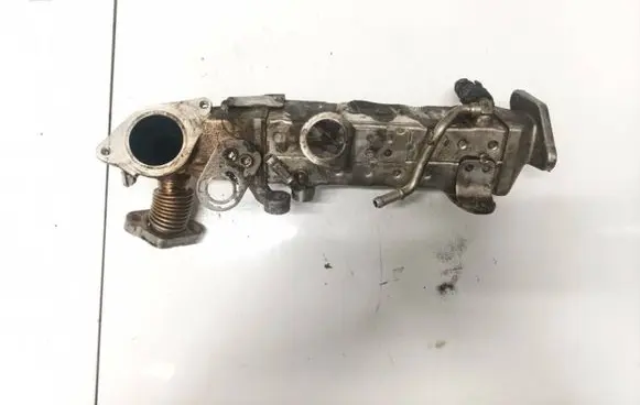 EGR valve cooler