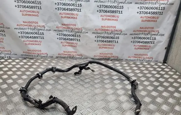 Volkswagen Touareg I Positive cable (battery)