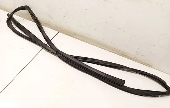 Lexus RX 300 Rubber seal front coupe door 
