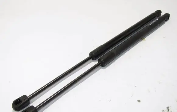 Tailgate/trunk strut/damper