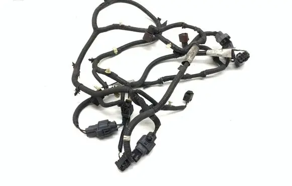 Other wiring loom