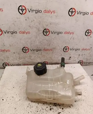 Renault Fluence Coolant expansion tank/reservoir 217100005R