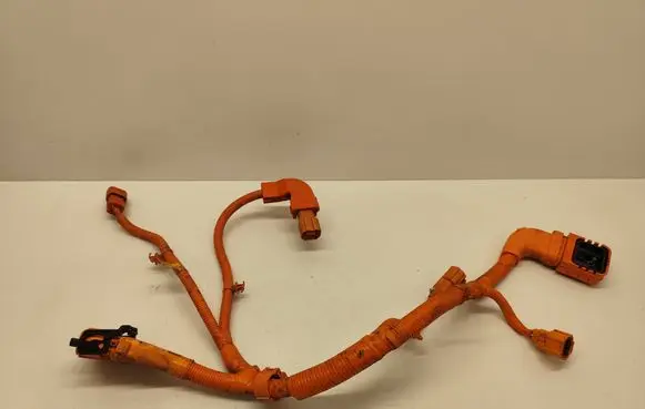 Hyundai Santa Fe Wiring harness 91674 CL010BA