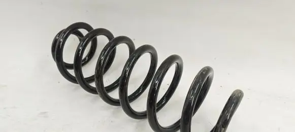 Rear coil spring