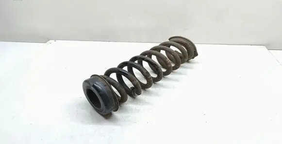 Rear coil spring