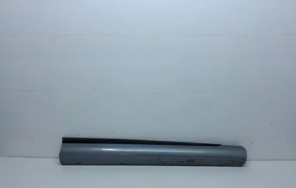 Front door trim (molding)