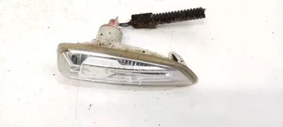 Front fender indicator light