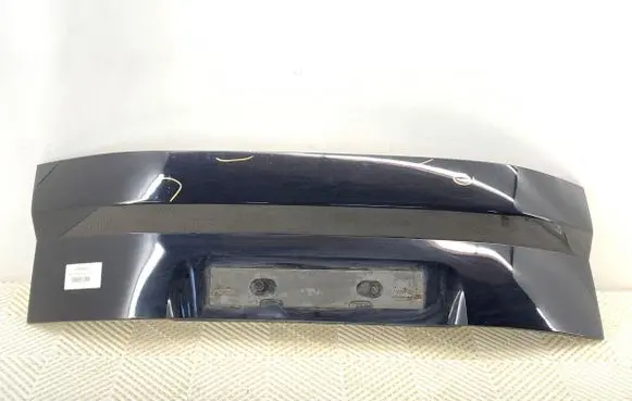 Ford S-MAX Trunk door license plate light bar