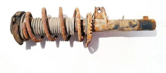 Volkswagen Golf V Front shock absorber/damper 1k0413031be