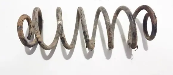 Volkswagen Golf V Rear coil spring