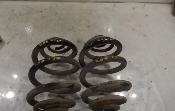 Rear coil spring
