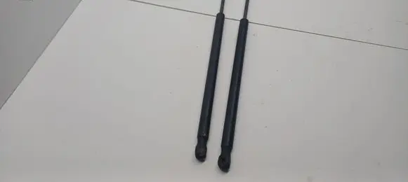 Ford Focus Tailgate/trunk/boot lid buffer 3M51A406A10
