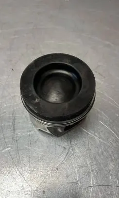 Volkswagen Multivan T6 Piston ACH CXE 0811SC