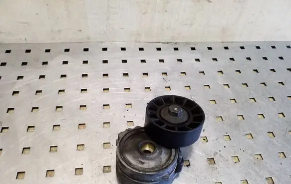 Peugeot 307 Generator/alternator belt tensioner