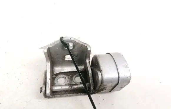 Renault Scenic II - Grand scenic II Rear door lower hinge