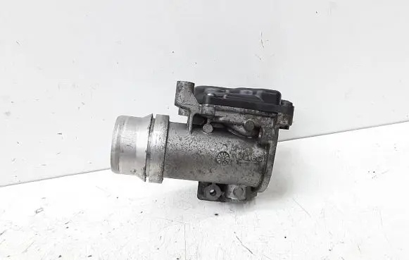Renault Scenic RX Throttle valve 8200614985