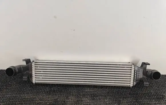 Mercedes-Benz B W246 W242 Intercooler radiator A2465000100 W8922001
