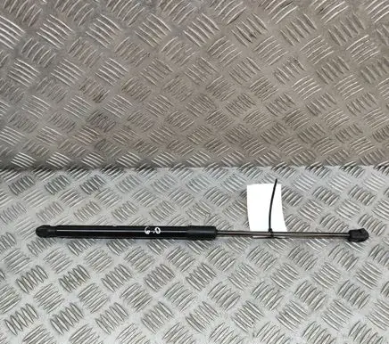 Tailgate/trunk strut/damper