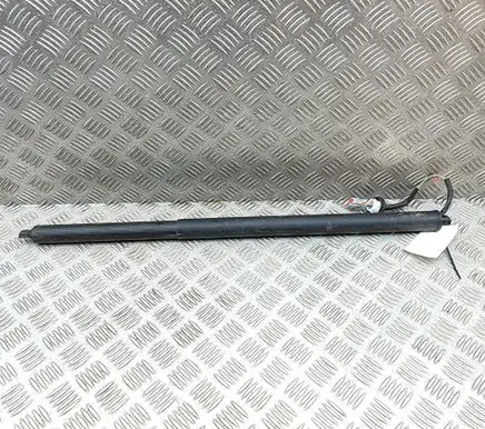 Ford Mustang Mach-E Tailgate/trunk strut/damper LJ8BR402A55AD